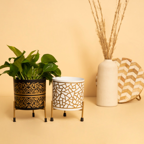 Planters & Greenery