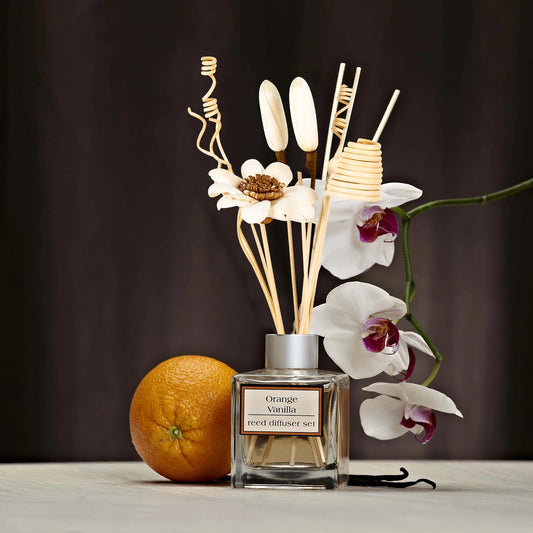 🌿 7pcs Natural Rattan Aromatherapy Diffuser Sticks – 22cm Replacement Reeds for Essential Oil Diffusers 🌿